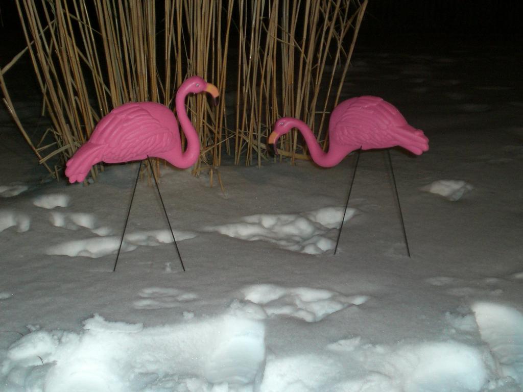 Birthday Yard Signs Nashville Birthday Yard SignsBirthday Yard Signs